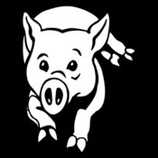 pig